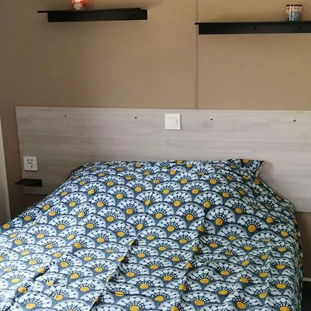 Mobil-home Avec Terrasse Acces Handicape Au Boulou - Api-1-52-641 *