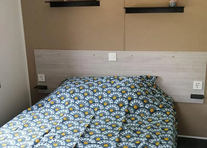 Mobil-home Avec Terrasse Acces Handicape Au Boulou - Api-1-52-641 *